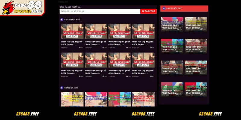 Câu hỏi thường gặp - những trận đấu đá gà