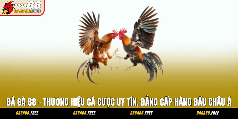 Giới Thiệu Đá Gà 88 Nền Tảng Giải Trí Gà Chiến Hiện Đại DAGA88 1 Đá Gà 88 - Thương Hiệu Cá Cược Uy Tín, Đẳng Cấp Hàng Đầu Châu Á