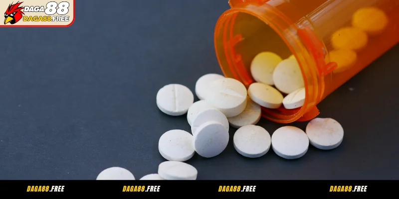 Hậu quả của thuốc đá gà bịp